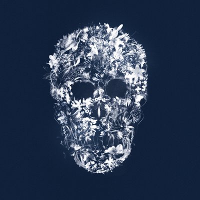 FloralSkull, 2018 (técnica mixta sobre lienzo) de Teis Albers