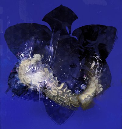 Floralcollar, 2016 (técnica mixta sobre lienzo) de Teis Albers
