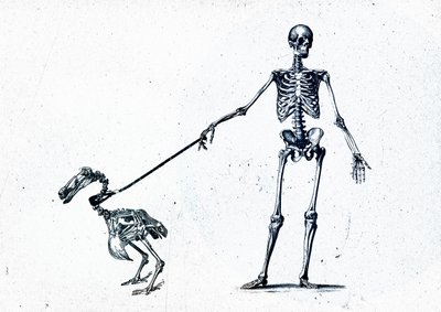 Walking my dodo, 2015 (técnica mixta sobre lienzo) de Teis Albers