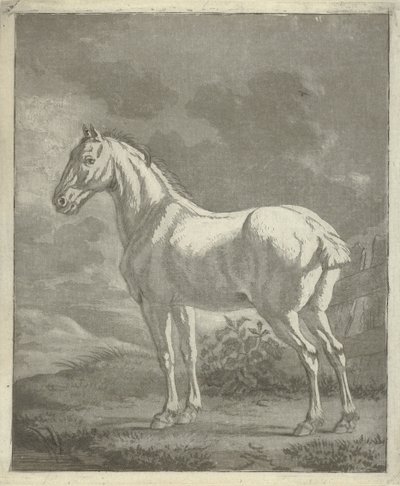 Moho en un prado de Tethart Philip Christian Haag