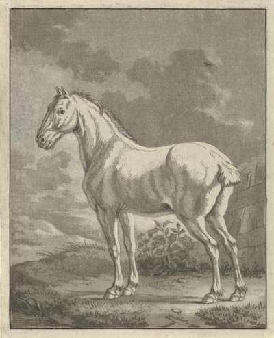 Moho en un prado de Tethart Philip Christian Haag