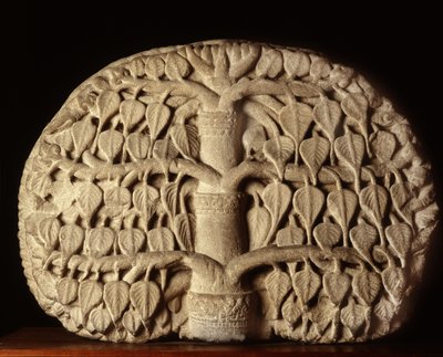Árbol Bodhi de Thai School