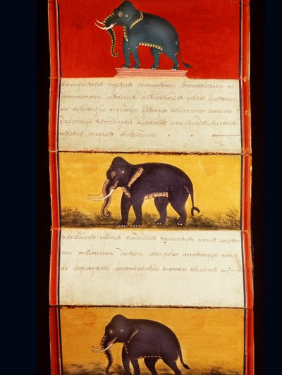 Folio de un manuscrito sobre entrenamiento de elefantes de Thai School