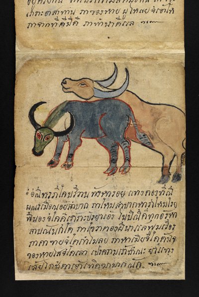 O. 16482, f.15 