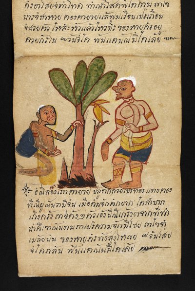 O. 16482, f.21 