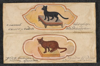 Gatos Siameses, Fol. 1: dos gatos de la suerte para apoyar los negocios y la acumulación de riqueza, Or. 16797, f.1 (pergamino) de Thai School