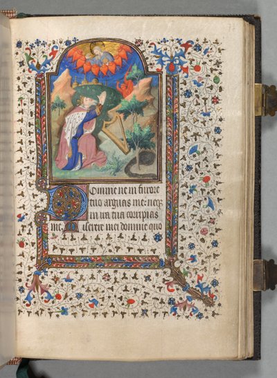 Libro de Horas Uso de París: Fol. 77r, David, c. 1420 de The Bedford Master
