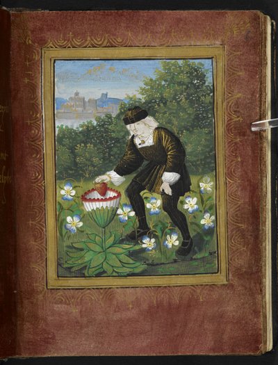 Stowe 955 f.6r Miniatura de Pierre Sala dejando caer 