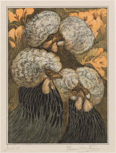 Tres pollos de mechón de Theo van Hoytema (signed by artist)