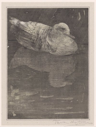 Pato flotante de Theo van Hoytema (signed by artist)
