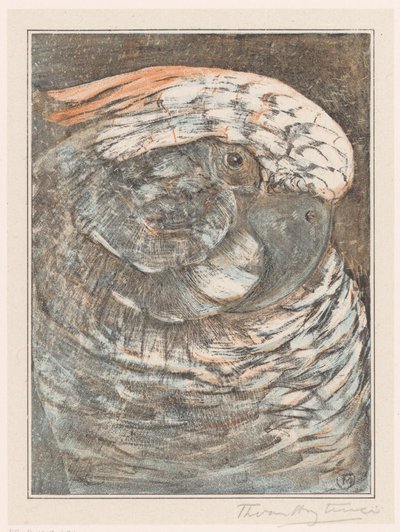 Cabeza de loro de Theo van Hoytema (signed by artist)