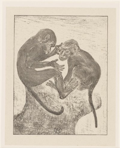 Dos monos pulga de Theo van Hoytema (signed by artist)