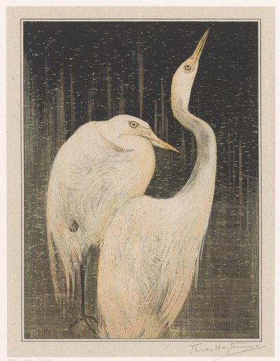 Dos garzas de Theo van Hoytema (signed by artist)
