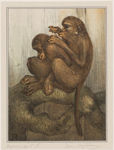 Monos pulga de Theo van Hoytema (signed by artist)