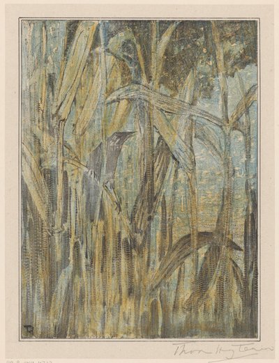 Pájaro en las cañas de Theo van Hoytema (signed by artist)
