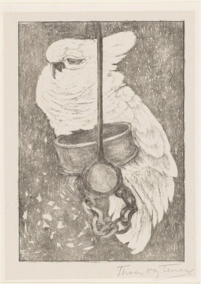 Cacatúa blanca de Theo van Hoytema (signed by artist)