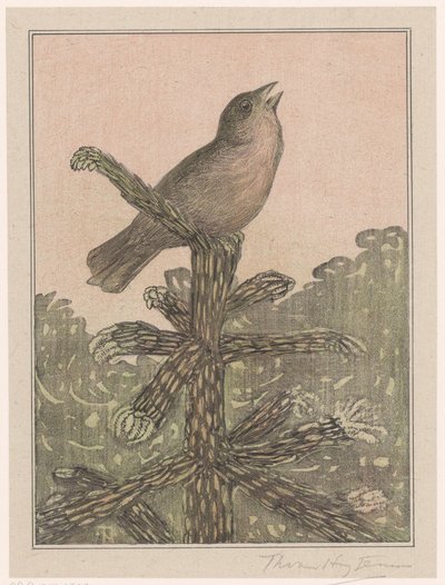 Pájaro cantor en una conífera de Theo van Hoytema (signed by artist)