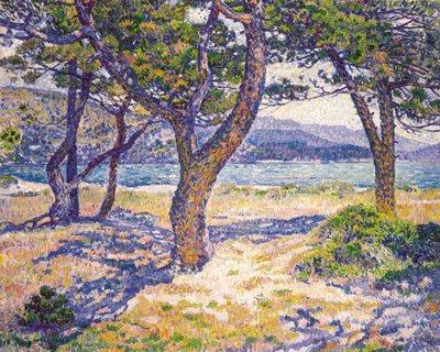 El Mediterráneo en Le Lavandou de Théo van Rysselberghe