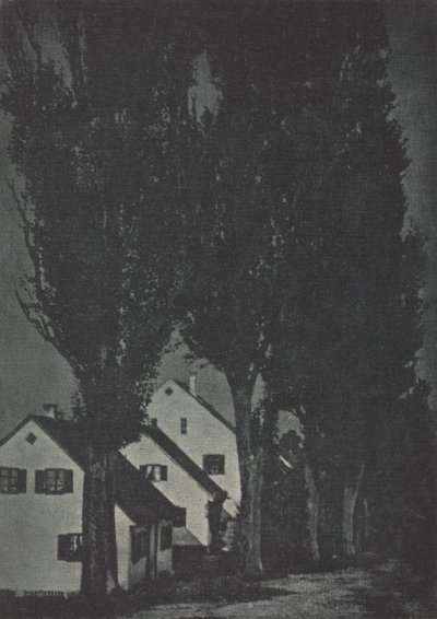 Trabajo de cámara: Dachau, 1904 de Theodor Hofmeister