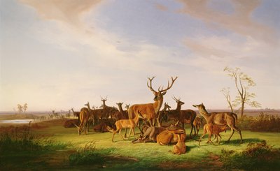 Una manada de ciervos en un prado iluminado por el sol de Theodor Julius Kiellerup