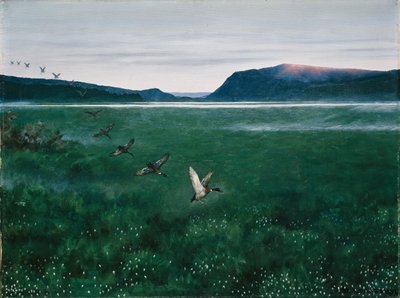 Los doce patos salvajes de Theodor Kittelsen
