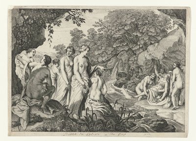 Diana descubre el embarazo de Calisto
Metamorfosis de Ovidio (título de la serie) de Theodor Matham