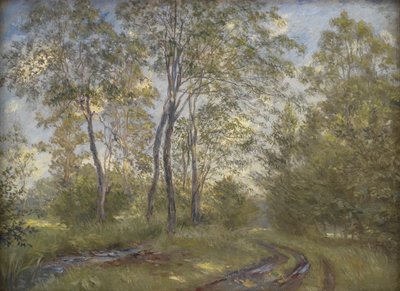 Un Río cerca de la Mansión Meilgård, Jutlandia de Theodor Philipsen