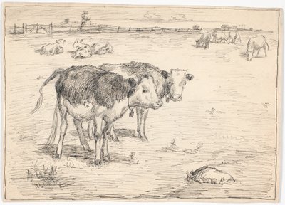 Un par de terneros en "Fladen", Saltholm de Theodor Philipsen