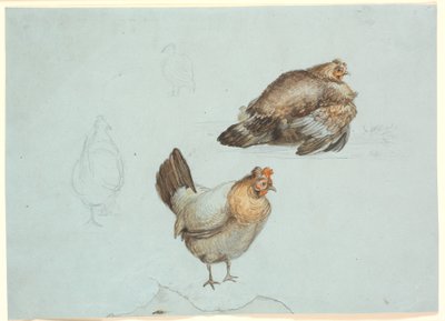 Høns. Estudio de Theodor Philipsen