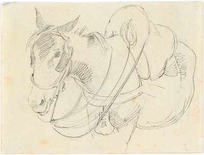 Mulas. Italia de Theodor Philipsen