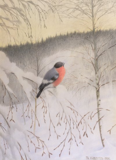 Bullfinch en Frosty Twig de Theodor Kittelsen