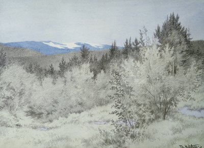 Muy lejos, en el bosque de Theodor Kittelsen
