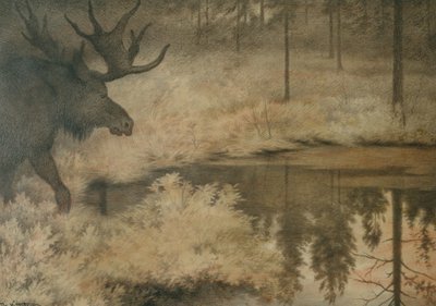El alce viene a saciar su sed de Theodor Kittelsen