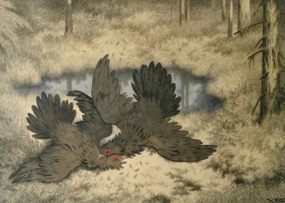 El pájaro troll pelea allí de Theodor Kittelsen