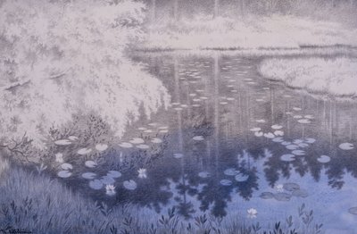 Hay un estanque en Svartebudale de Theodor Kittelsen