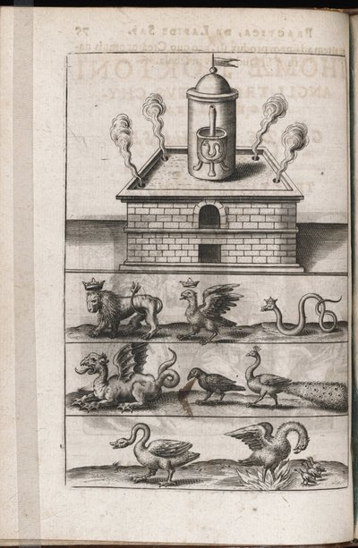 Un horno de alquimia y animales simbólicos de la alquimia - Grabado de Theodore de Bry (1528-1598), para el tratado de alquimia ""Tripus avreus, hoc est, Tres tractatus chymici selectissimi"" de Michael Maier (1569 -1622) de Theodor de Bry