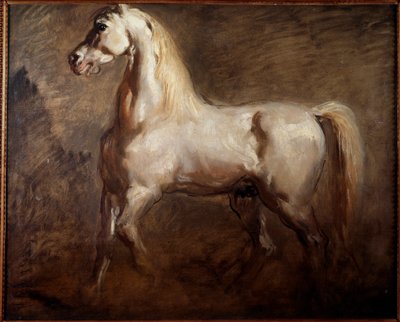 Estudio de caballo blanco en perfil izquierdo de Théodore Chassériau