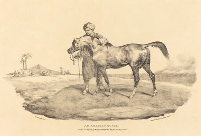 Un caballo árabe de Theodore Gericault