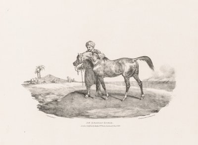 Un caballo árabe de Theodore Gericault