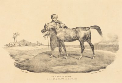 Un caballo árabe de Theodore Gericault