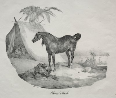 Caballo árabe de Theodore Gericault