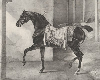 Caballo negro atado en un establo, 1822 de Theodore Gericault