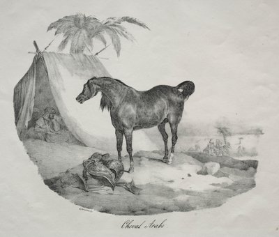 Caballo árabe de Theodore Gericault