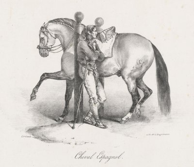 Caballo español (A Spanish Horse) de Theodore Gericault