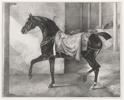 Caballo negro atado en un establo (A Black Horse Tethered in a Stable) de Theodore Gericault