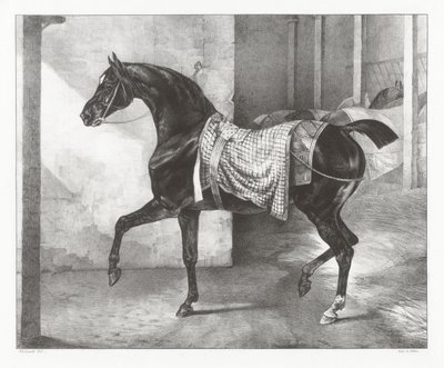  de Theodore Gericault