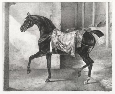  de Theodore Gericault