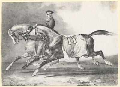 Dos caballos grises moteados a los que se saca a pasear (Two Dapple-Grays Being Exercised) de Theodore Gericault