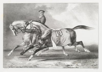  de Theodore Gericault
