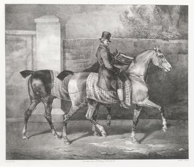 Dos caballos que pasea un jinete (Un mozo de cuadra que ejercita a dos caballos) de Theodore Gericault